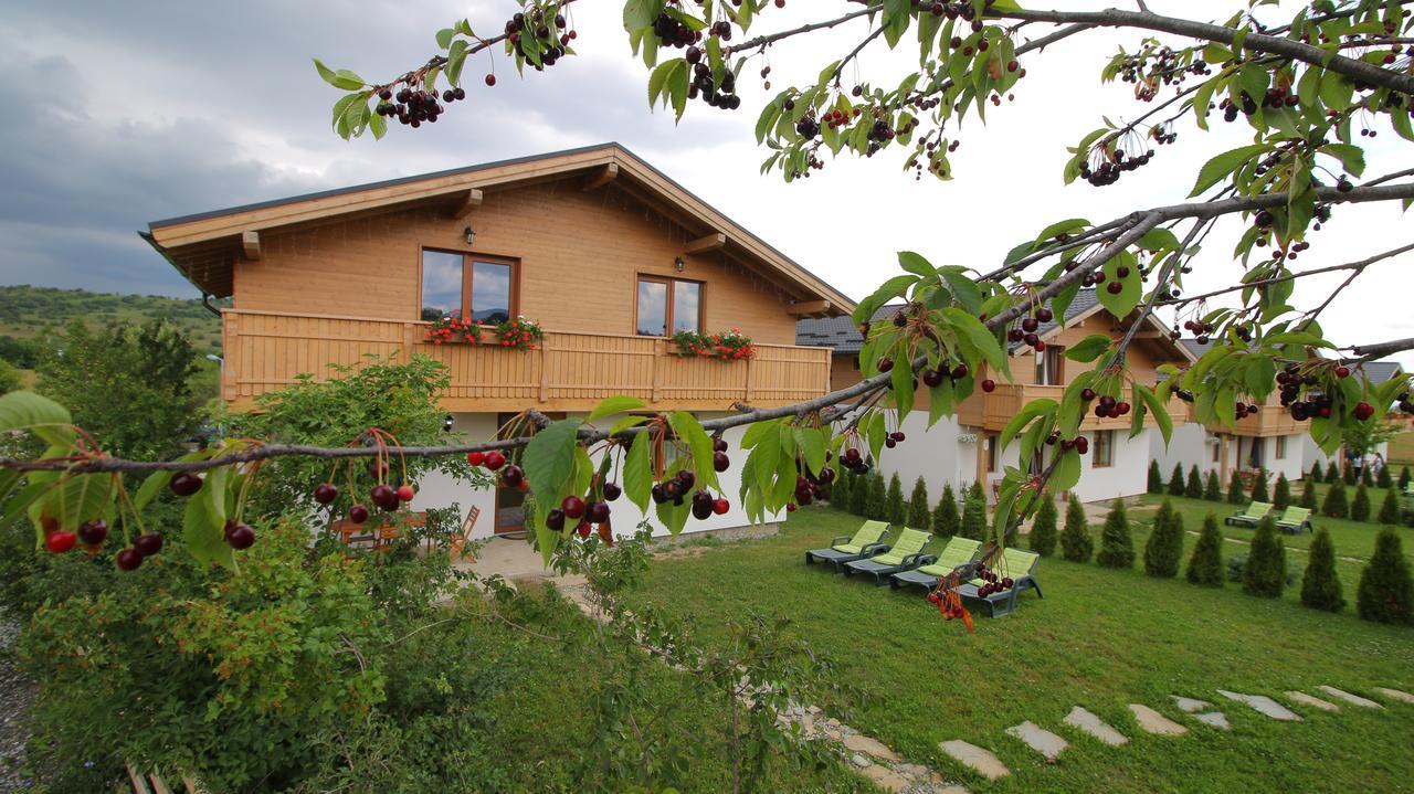 Green Resort Bran Bran  Exterior foto